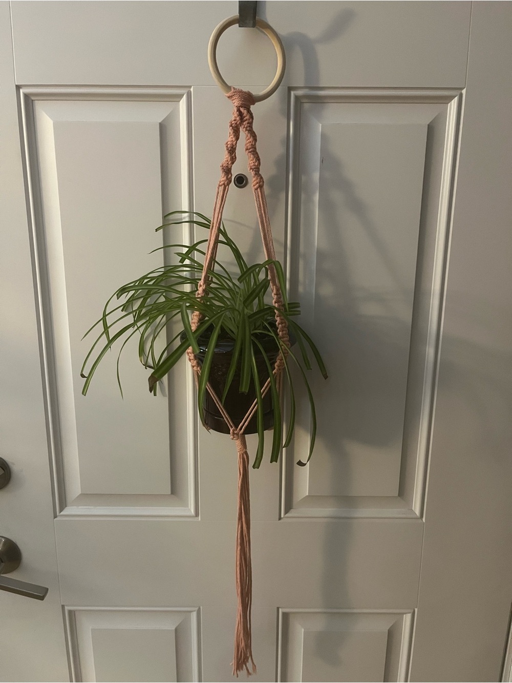 Handmade Pink Macramé Hanging Plant Holder. Plant not included.